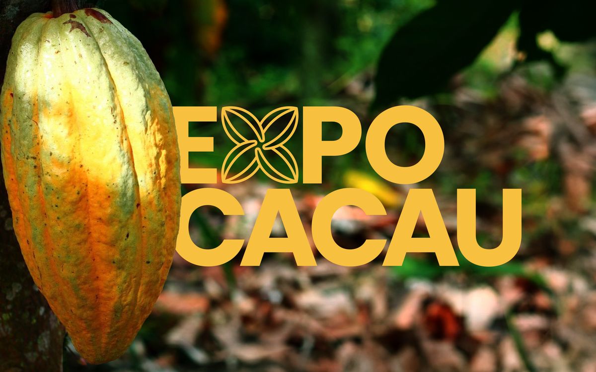 Marca ExpoCacau em amarelo sobre um fruto de cacau maduro na árvore
