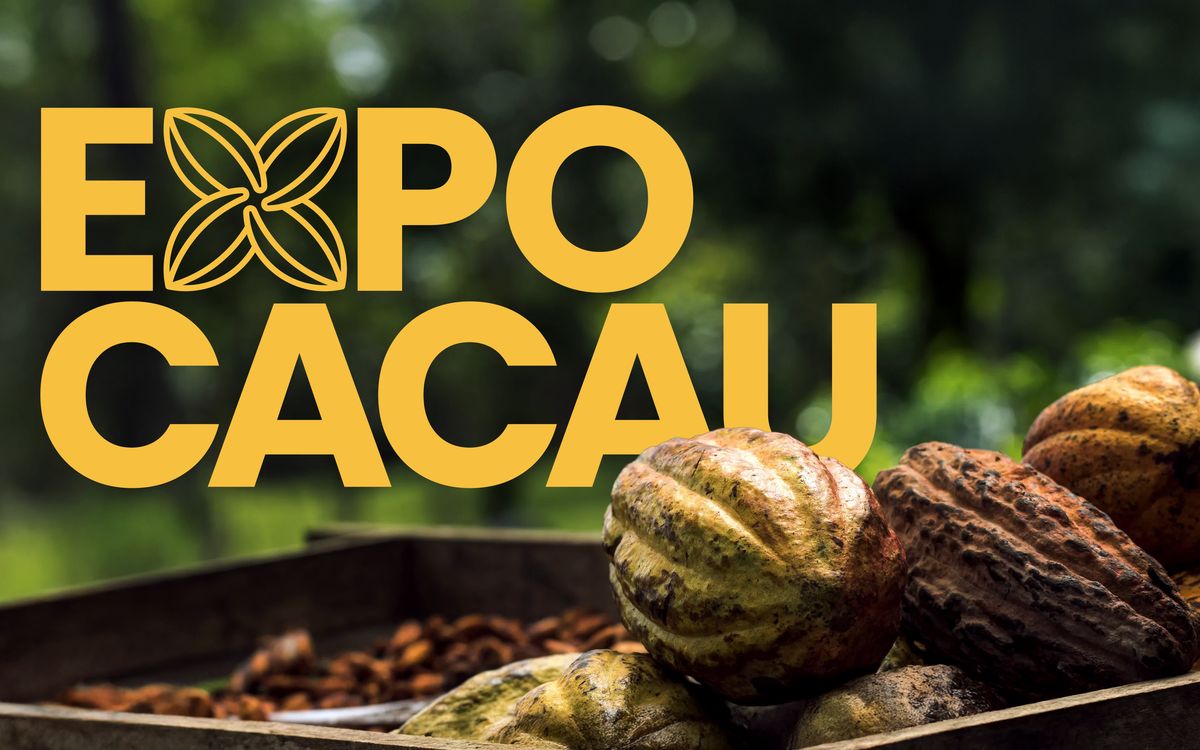 Marca ExpoCacau em amarelo sobre uma caixa de frutos de cacau